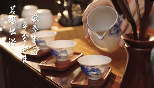 以標(biāo)準(zhǔn)化為翼 助推粵菜文化傳播與餐飲服務(wù)升級(jí)